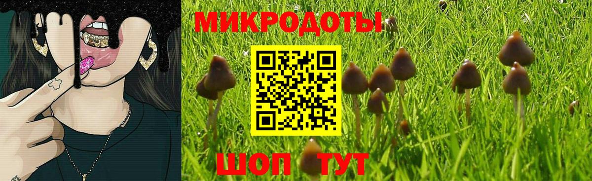 Галлюциногенные грибы Psilocybine cubensis  купить закладку  Туапсе  Вход с VPN  Псилоцибиновые грибы Psilocybine cubensis 